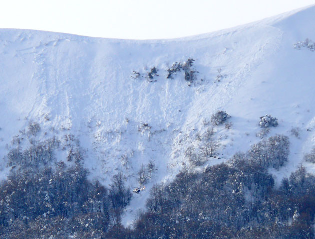 Avalanche (plaque à vent), Gap, montagne de Charance, col de Guizière, 08/02/2009