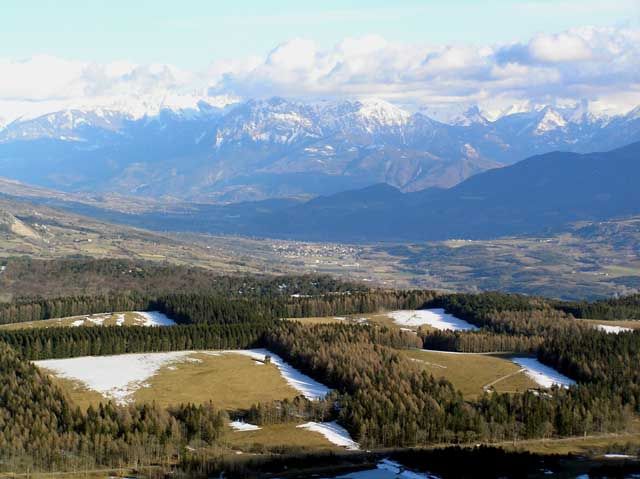 Gap&nbsp;: forêt du col Bayard (1 246 m)