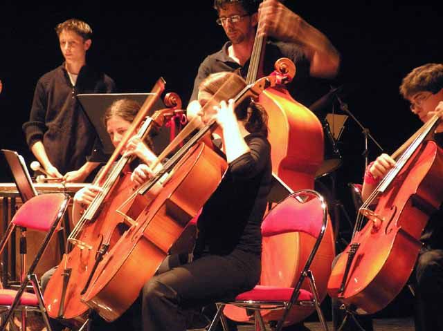 Gap ENMD&nbsp;: violoncelles et contrebasses