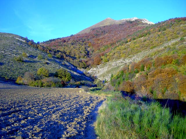 Cadre de la ruine de Rougier, au pied de la crête de Charance
