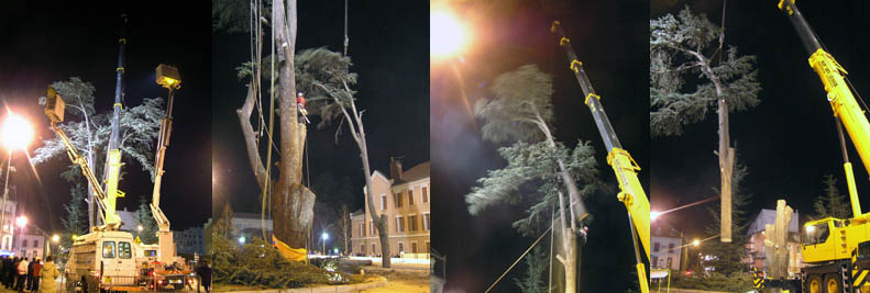 mosaque abattage cdre carrefour du Muse 09/01/2006